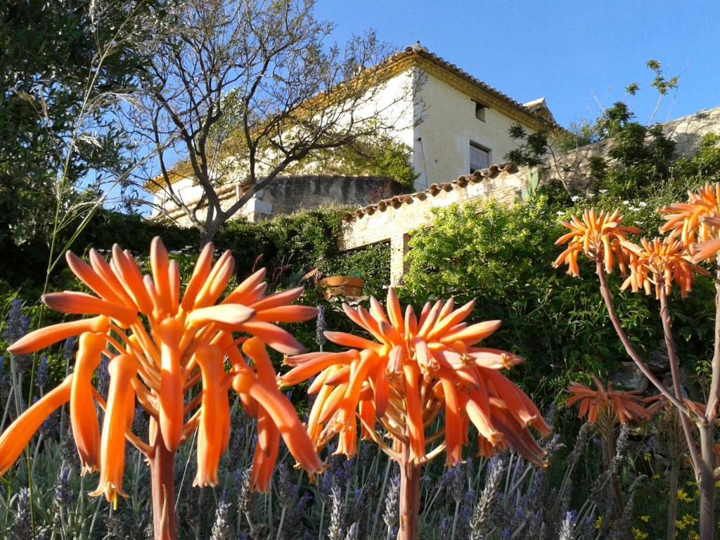 Mas Castell De Gimenelles Hotel Sant Jaume dels Domenys Eksteriør billede