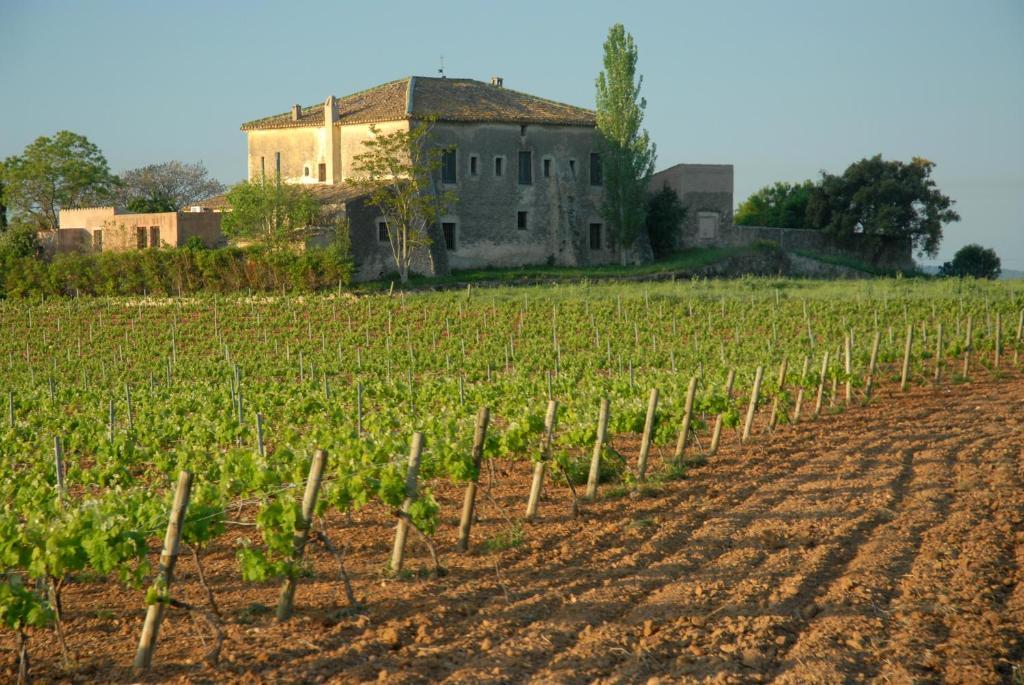 Mas Castell De Gimenelles Hotel Sant Jaume dels Domenys Eksteriør billede